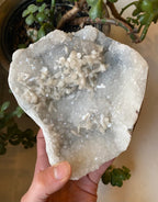 Apophyllite A+ Cluster Specimen