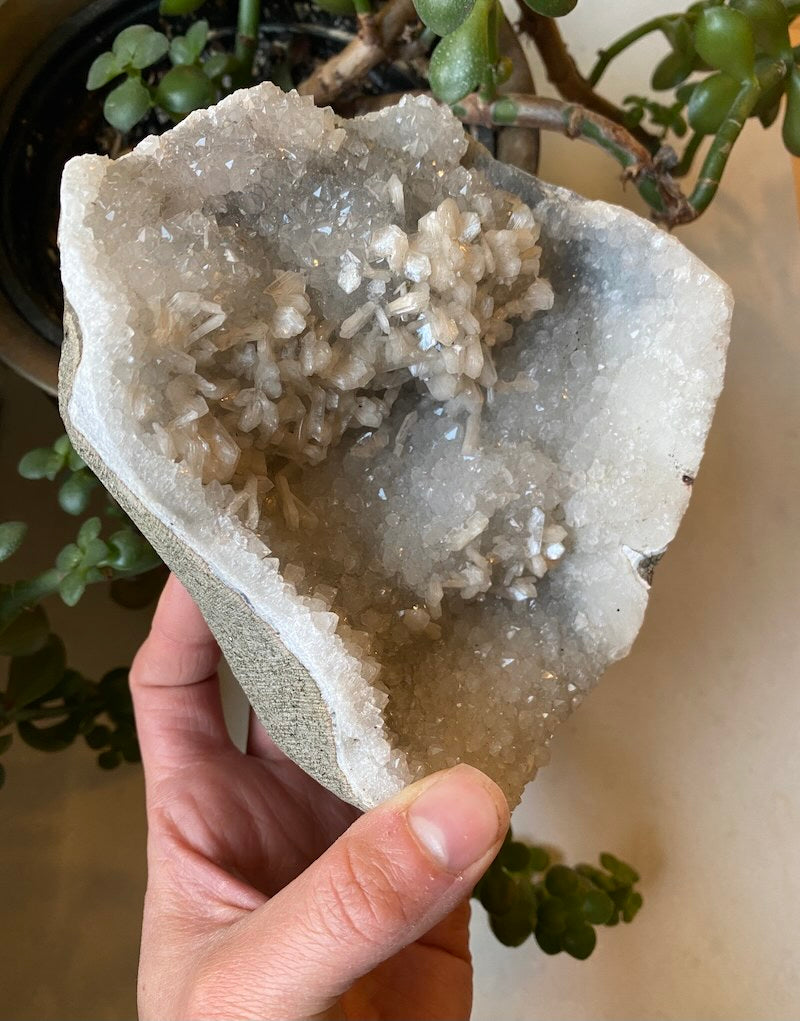 Apophyllite A+ Cluster Specimen
