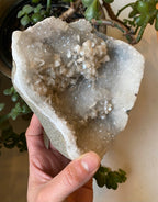 Apophyllite A+ Cluster Specimen