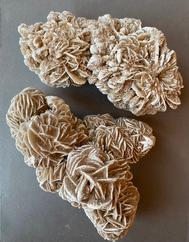 DESERT ROSE RAW XL