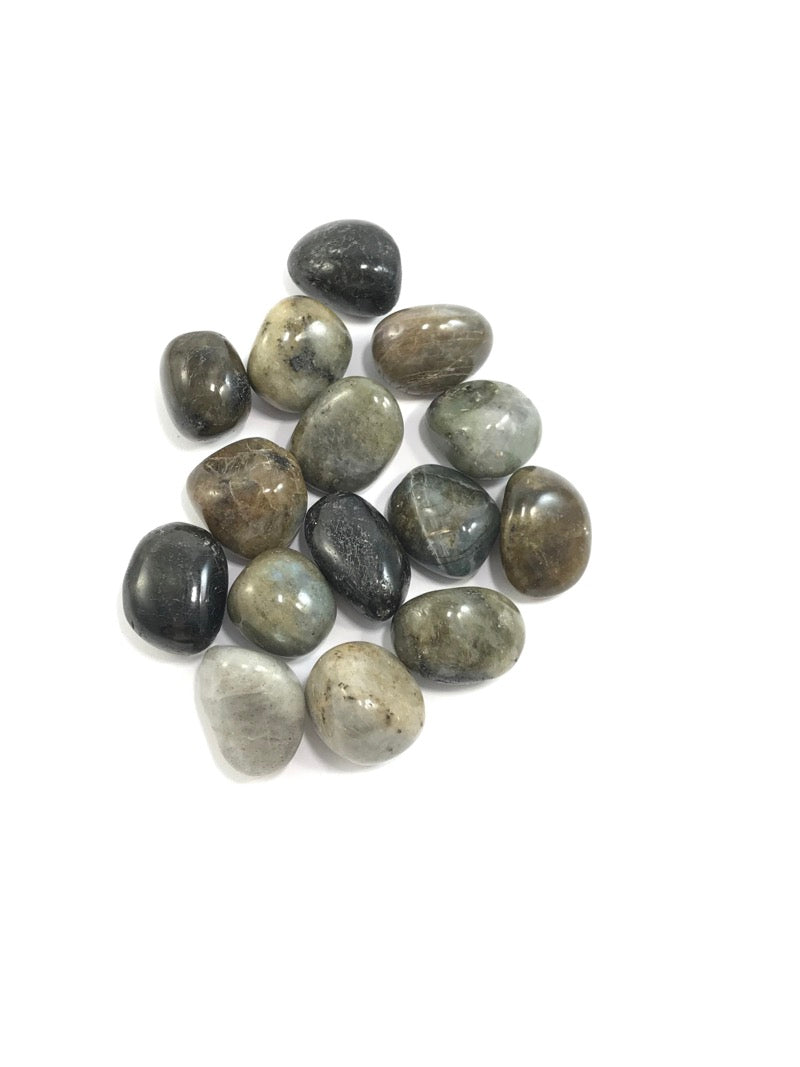 Labradorite (M)