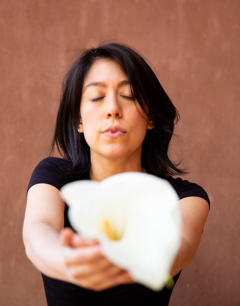 Womb Healing Sessions Promotion