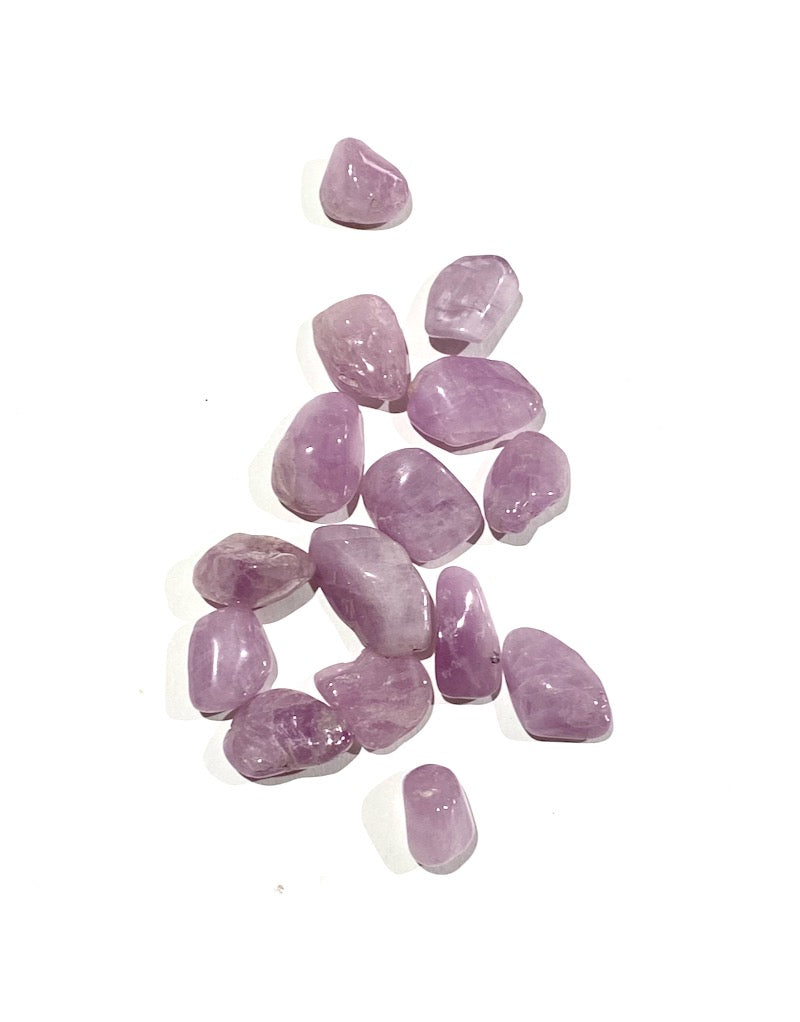 Kunzite - A+ S – The Rock Store
