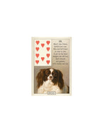 BLUE BIRD LENORMAND  FORTUNE TELLING CARDS