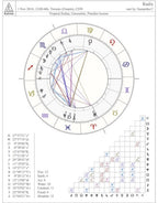 Astrology Consultations