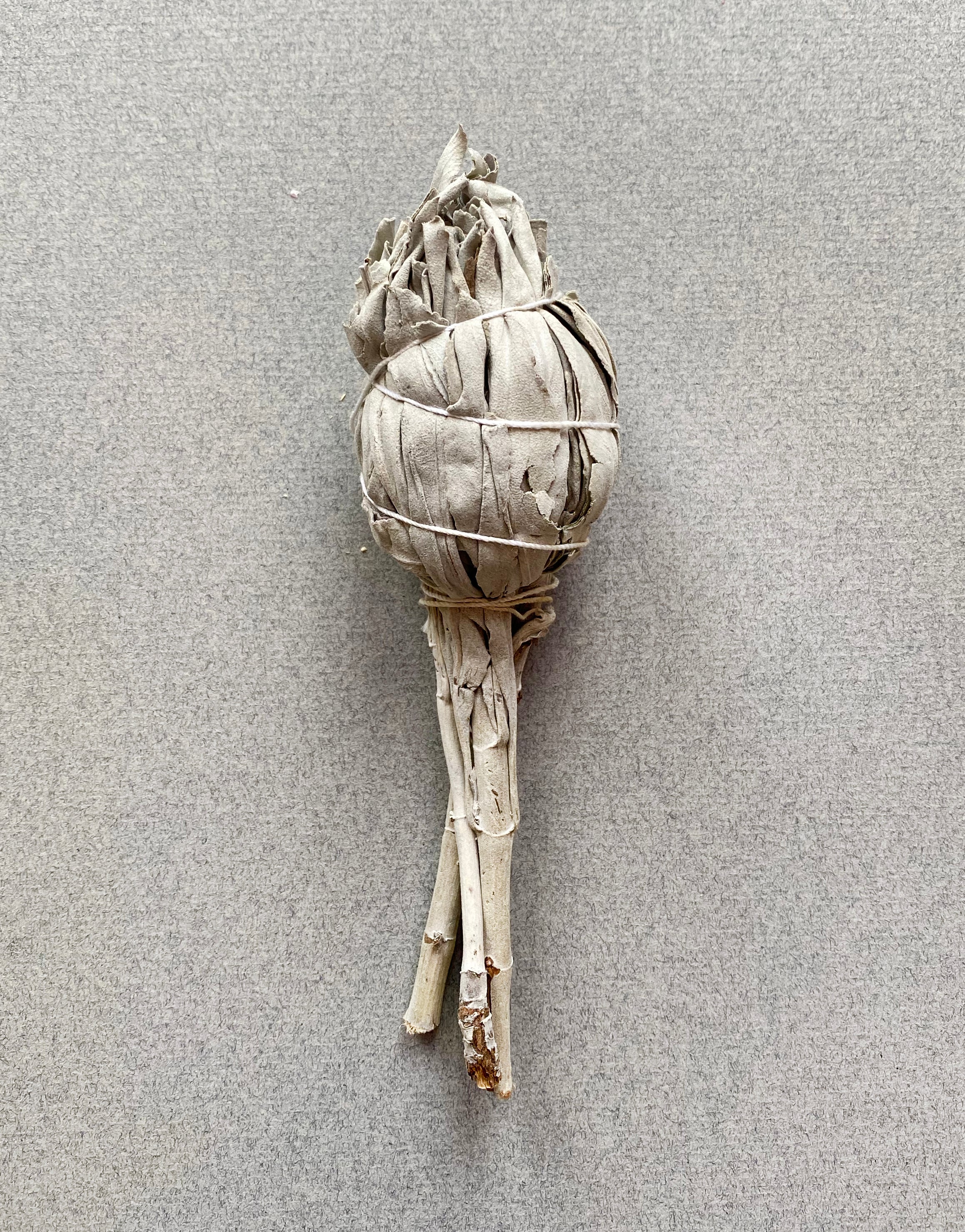 SMUDGE STICK - WHITE SAGE BULB