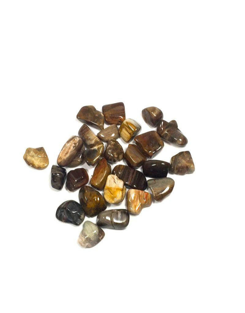 Tumbled Petrified Wood