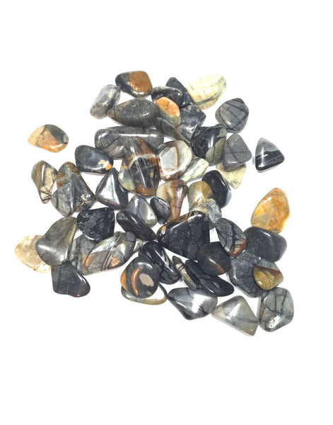Picasso Jasper - s